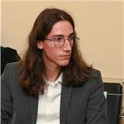 Aspirante insegnante di scuola media, con fresca abilitazione all'insegnamento, propone lezioni di Storia